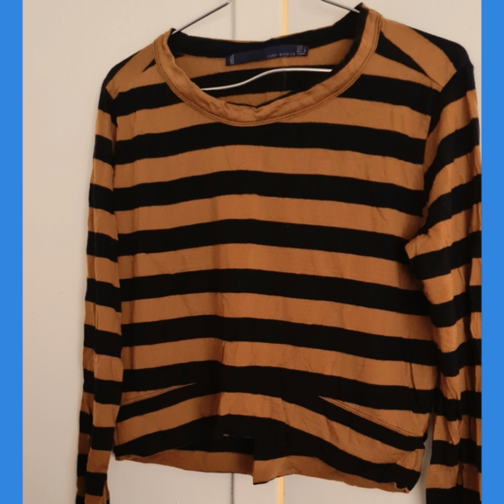 Zara long sleeve crop top
